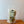 Load image into Gallery viewer, Tequila Lime Shrimp